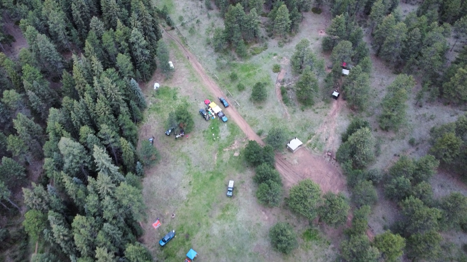 Drone view straight down on a small group camped in a forest clearing